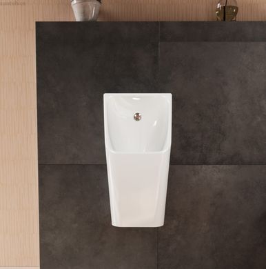 Писсуар Hansgrohe EluPura Q 60127450