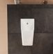 Писсуар Hansgrohe EluPura Q 60127450