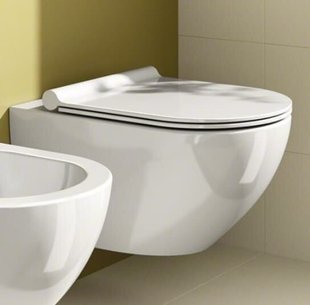 Подвесной безободковый унитаз с крышкой Catalano Sfera NewFlush 1VSF54R00_5SCSTP000