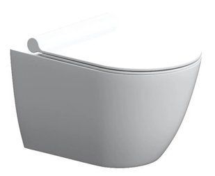 Унитаз подвесной Damixa Scandinavian Pure DX36C1701SC с сиденьям Soft Close