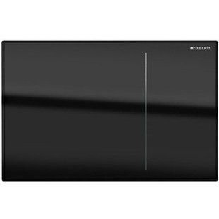 Смывная клавиша Geberit Sigma70 115.620.SJ.1 (черная)