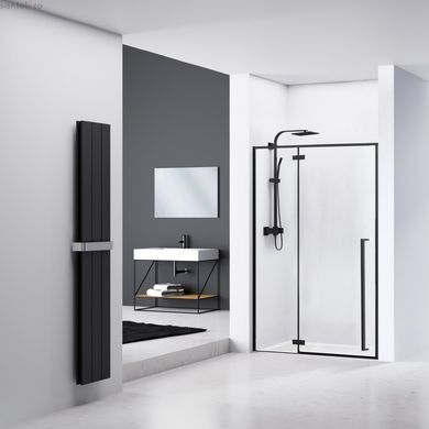 Душевая дверь REA FARGO BLACK MAT 100 REA-K6330