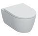 Унітаз підвісний Geberit iCon 501.664.00.1 з сидінням Soft Close