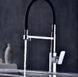 Змішувач для кухні Fabiano FKM 3119 PX Inox нерж.-чорний 8231.403.1017 під фільтровану воду
