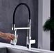 Змішувач для кухні Fabiano FKM 3119 PX Inox нерж.-чорний 8231.403.1017 під фільтровану воду