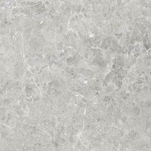 Плитка Ceramica Deseo Optex Delia Grey Matt Rect 598x598x8
