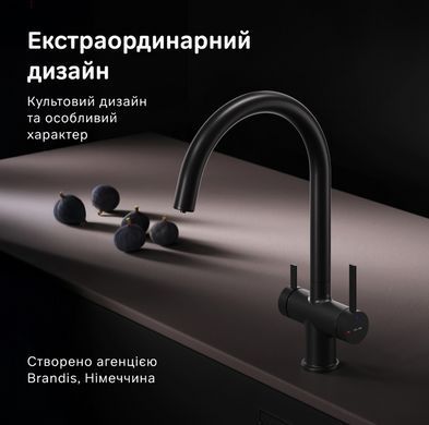Смеситель для кухни Am.Pm Func черный матовый F8F07722 под фильтрованную воду